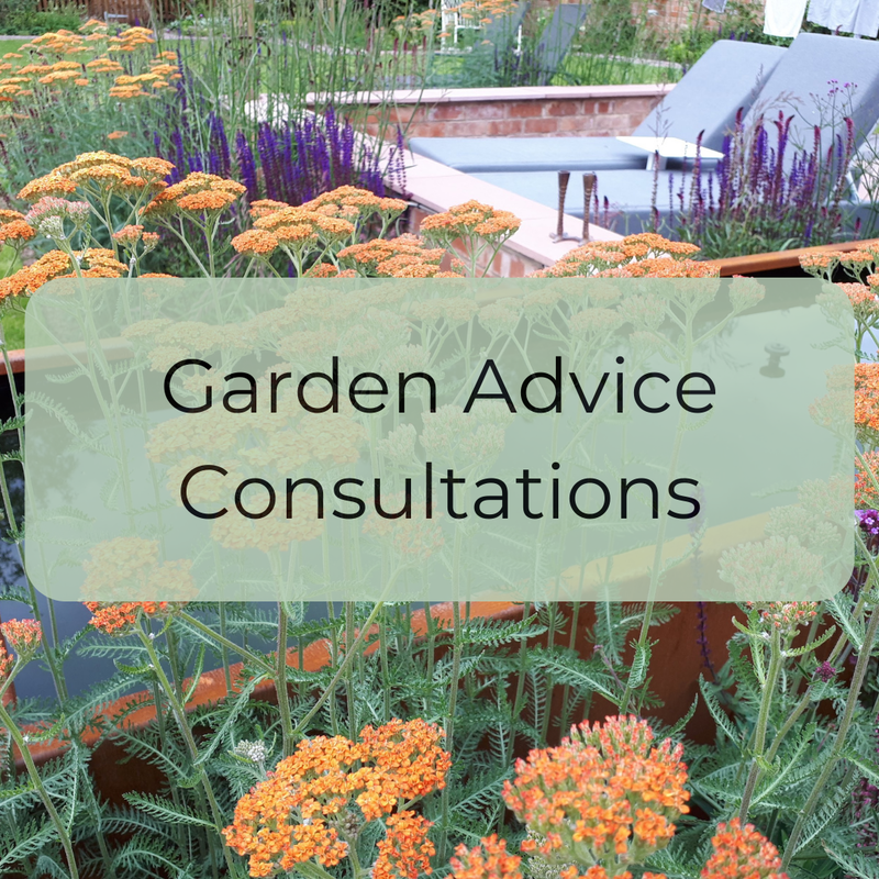 Garden Advice Consultations