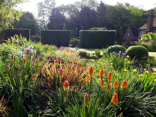 Planting Design Garden Transformation Leicestershire