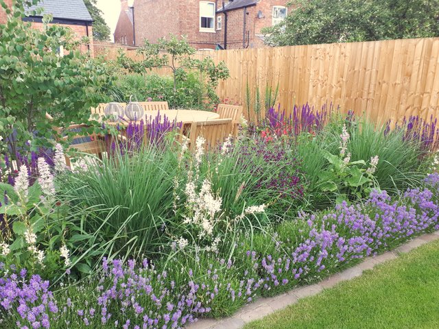 My own designer garden, Shepshed, Leicestershire