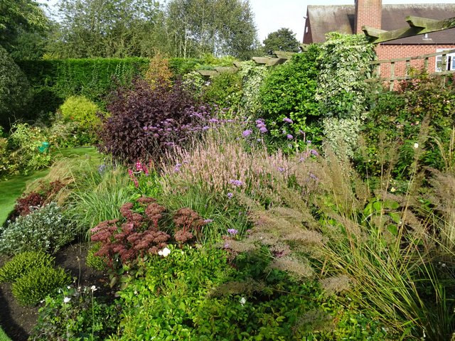 Plant lover paradise garden Ragdale, Leicestershire