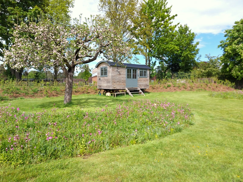 Shepherds Hut and Meadow