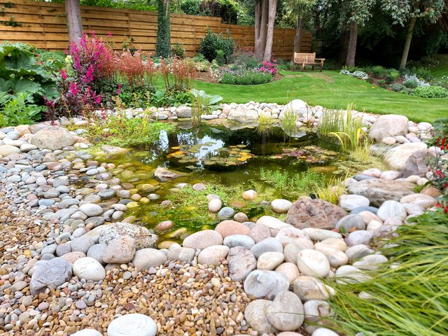 Portfolio - Wildlife Pond Project - Loughborough - Garden Designer &  Plantswoman | Bel Grierson | Loughborough, Leicestershire